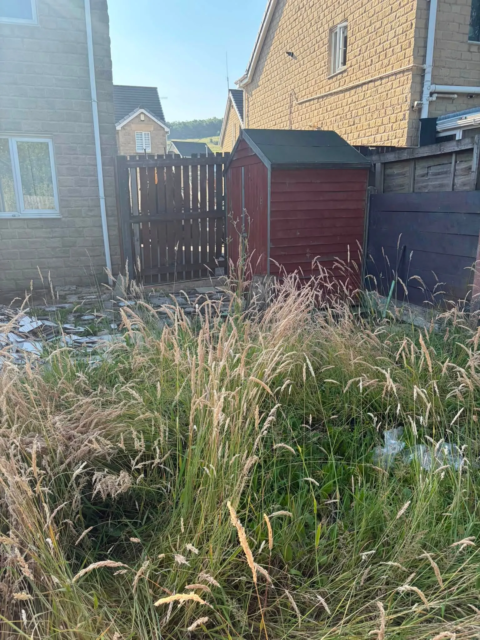 Garden Transformation & New Fencing: photo 4